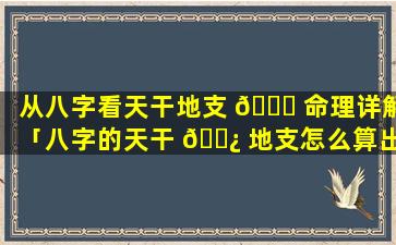 从八字看天干地支 🐕 命理详解「八字的天干 🌿 地支怎么算出来的」